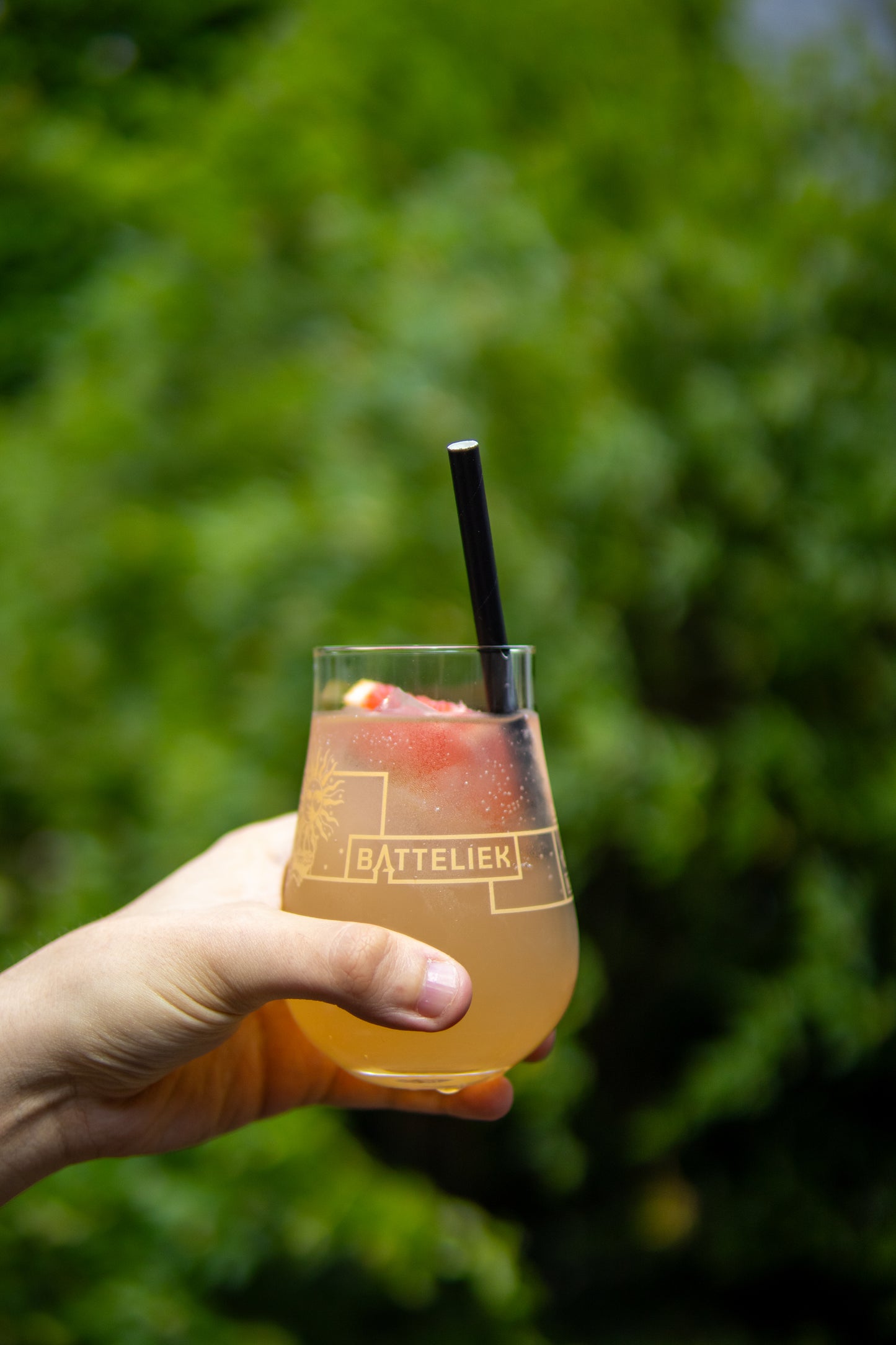 Pamplemousse-Houblon - 70cl