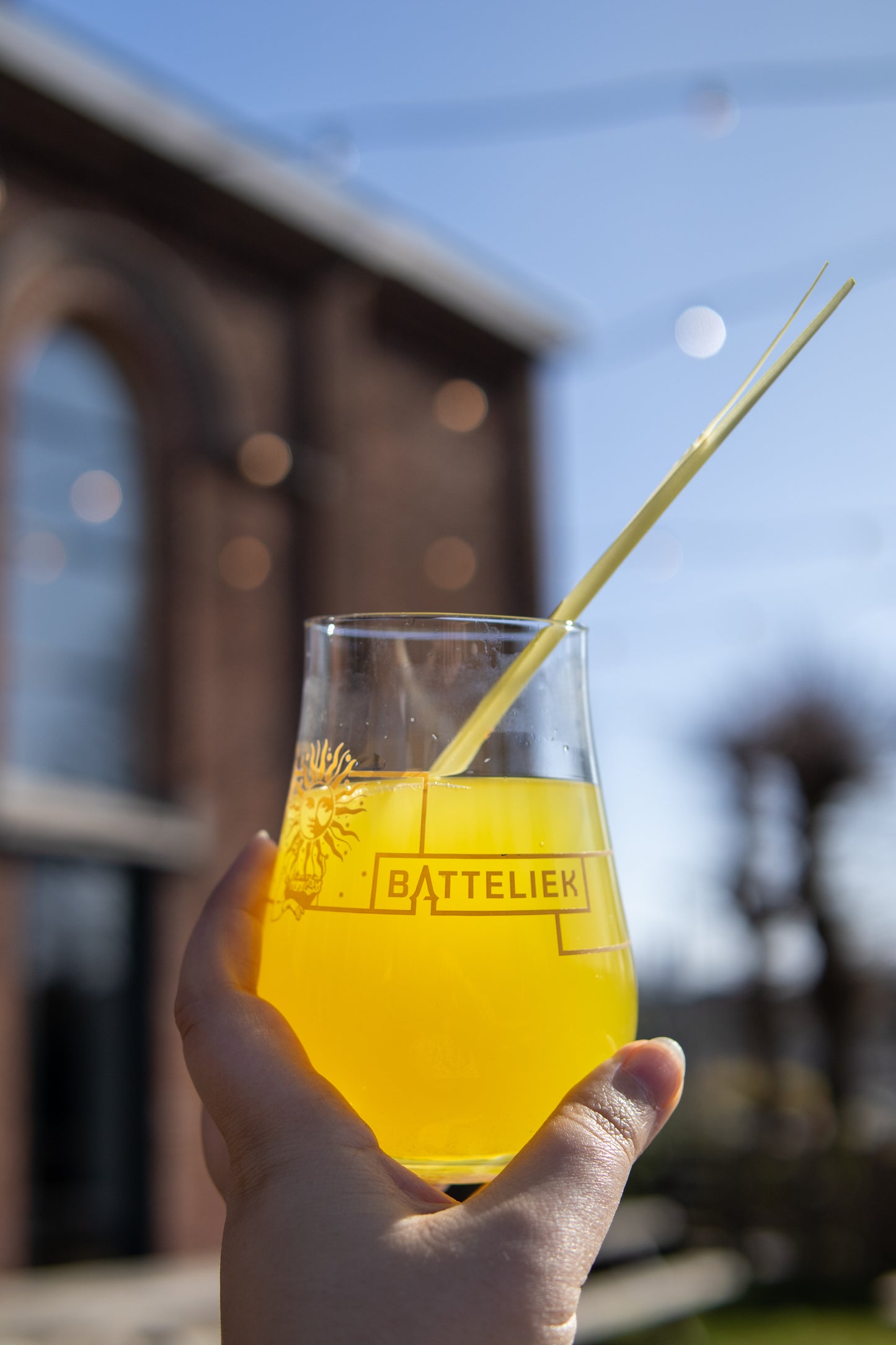 Gember-Kurkuma - 70cl